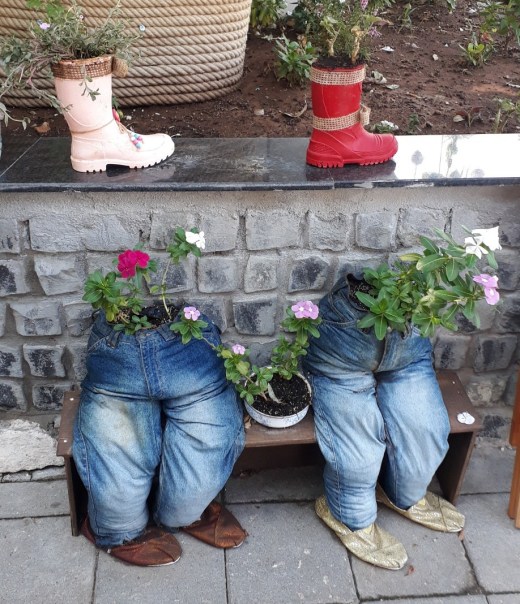 20180928_113625_resized